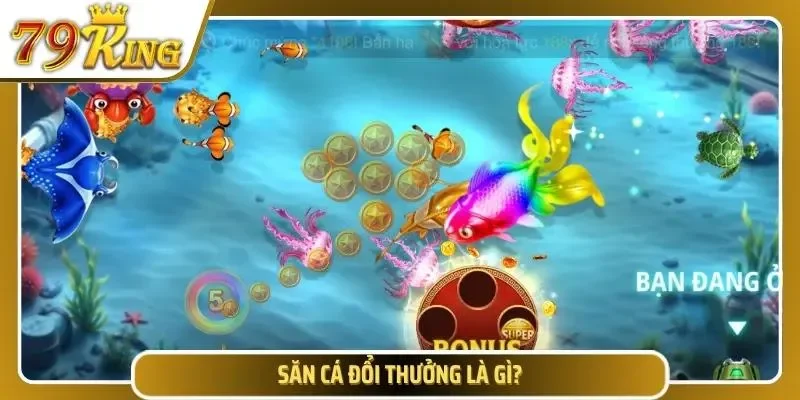 Tìm hiểu khái niệm về săn cá