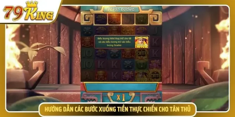 Các bước hướng dẫn uy tín dành cho tân thủ